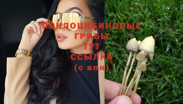 гашиш Коряжма