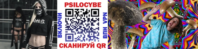 Купить где  Белая Калитва  Галлюциногенные грибы Psilocybe 
